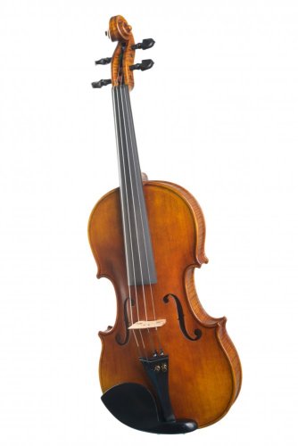 Violin Schönbach - Baron Light