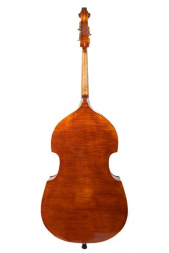 Violin Schönbach - Scala Doublebass