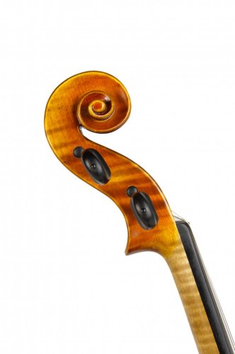 Tomáš Skála - Viola 39,5