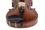 Violin Schönbach – Bohemia