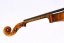 Violin Schönbach – Golden/Brown