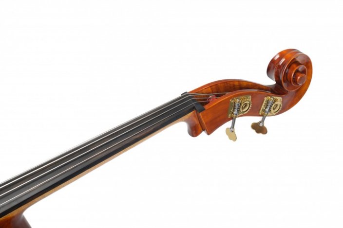 Violin Schönbach - Scala Doublebass