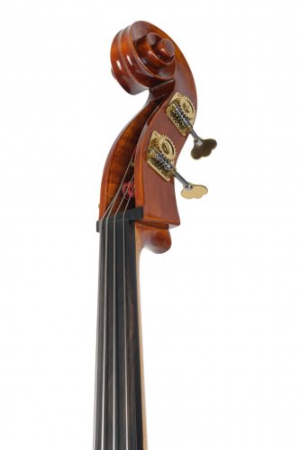 Violin Schönbach - Scala Doublebass