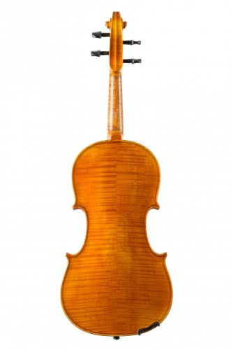 Violin Schönbach – Golden
