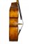 Tomáš Skála - Master instrument