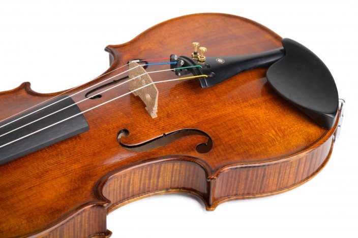 Violin Schönbach – Golden/Brown