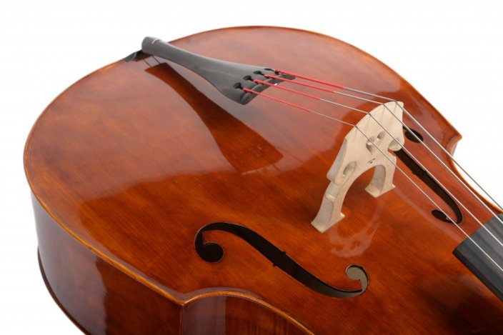 Violin Schönbach - Scala Doublebass