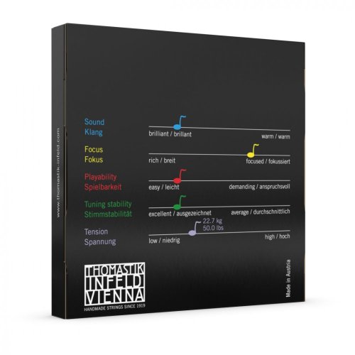 Thomastik VISION set VI100