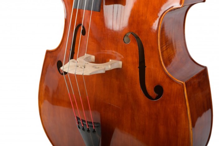 Violin Schönbach - Scala Doublebass