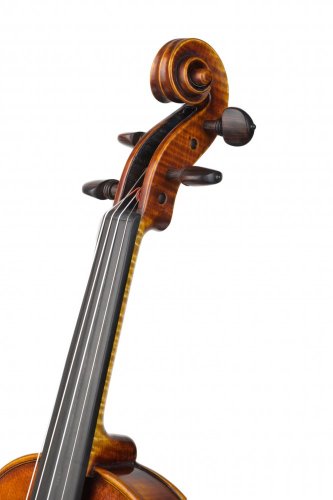 Violin Schönbach - Imperator Draco
