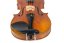 Violin Schönbach - Baron Light