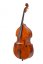 Violin Schönbach - Scala Doublebass