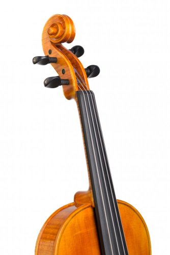 Violin Schönbach – Golden