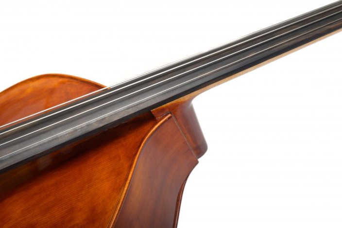 Violin Schönbach - Scala Doublebass