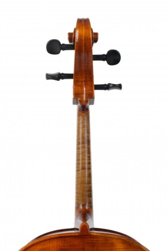 Violin Schönbach - Violoncello