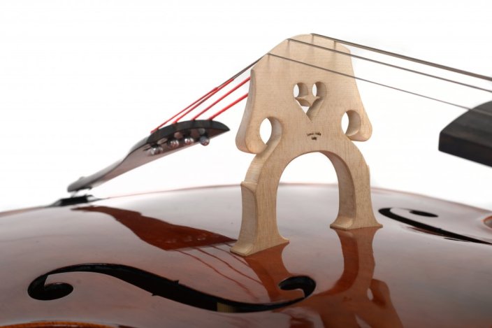 Violin Schönbach - Scala Doublebass