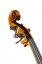 Tomáš Skála - Master instrument