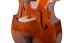 Violin Schönbach - Scala Doublebass