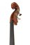 Violin Schönbach - Scala Doublebass