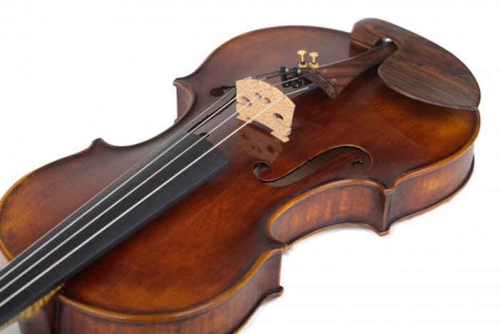 Violin Schönbach - Imperator Draco