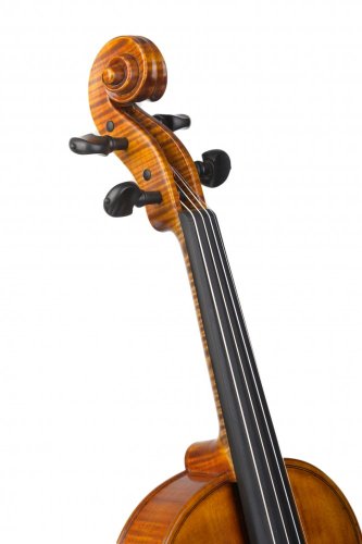 Violin Schönbach - Baron Light