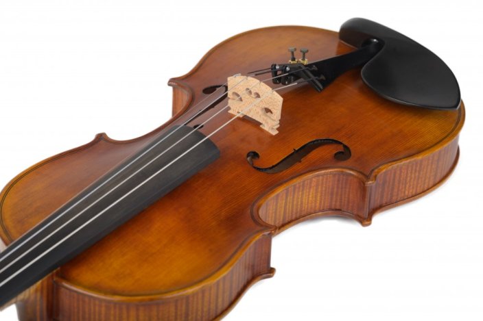 Violin Schönbach - Baron Light