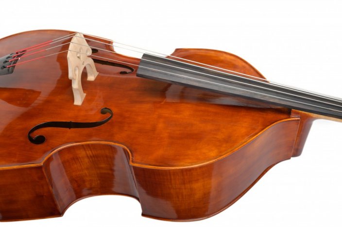 Violin Schönbach - Scala Doublebass