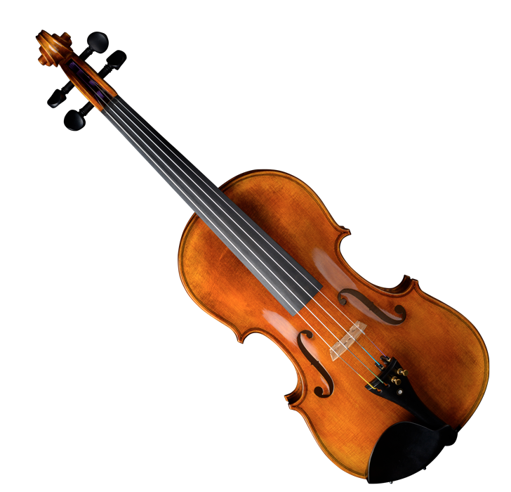 Violin Schönbach