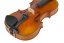 Violin Schönbach - Baron Light