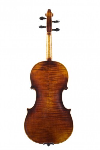 Violin Schönbach - Imperator Draco
