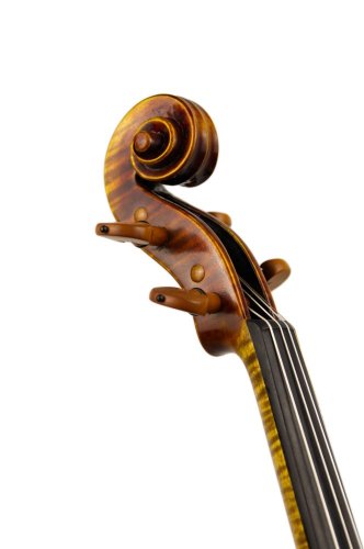 Tomáš Skála sr. - Master instrument 2024