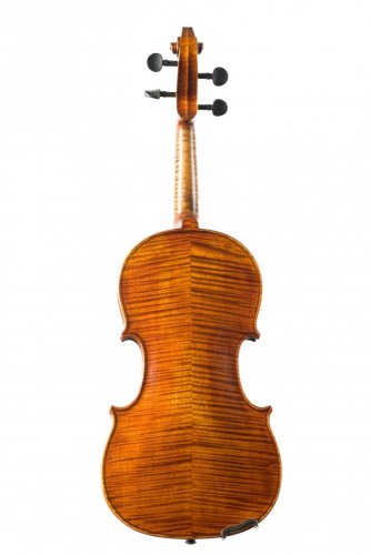 Violin Schönbach – Golden/Brown