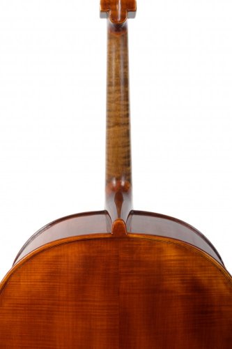 Violin Schönbach - Violoncello