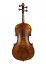Violin 4/4 - Mod. Maggini