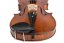 Violin Schönbach – Golden/Brown