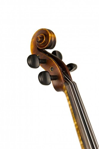 Violin 4/4 - School