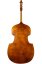 Tomáš Skála jr. - Master 5str. Doublebass 2024